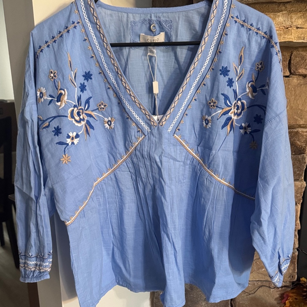 Cupio Light Blue Floral Embroidered Blouse